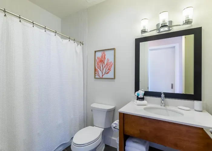 Spectacular 5 Bedroom Luxury With Rooftop Pool Right On The Beach, Next To The Hangout!